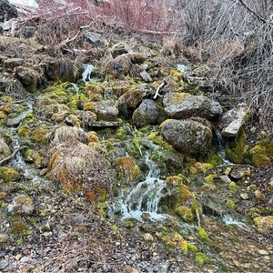 Meet your Posher, Colin